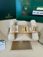 Load image into Gallery viewer, Rolex Daytona 126508 Like New 2024 Paul Newman Dial