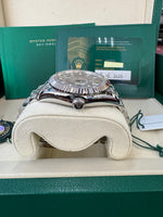Load image into Gallery viewer, Rolex Sky-Dweller 336934 Blue Dial 2026 Jubilee